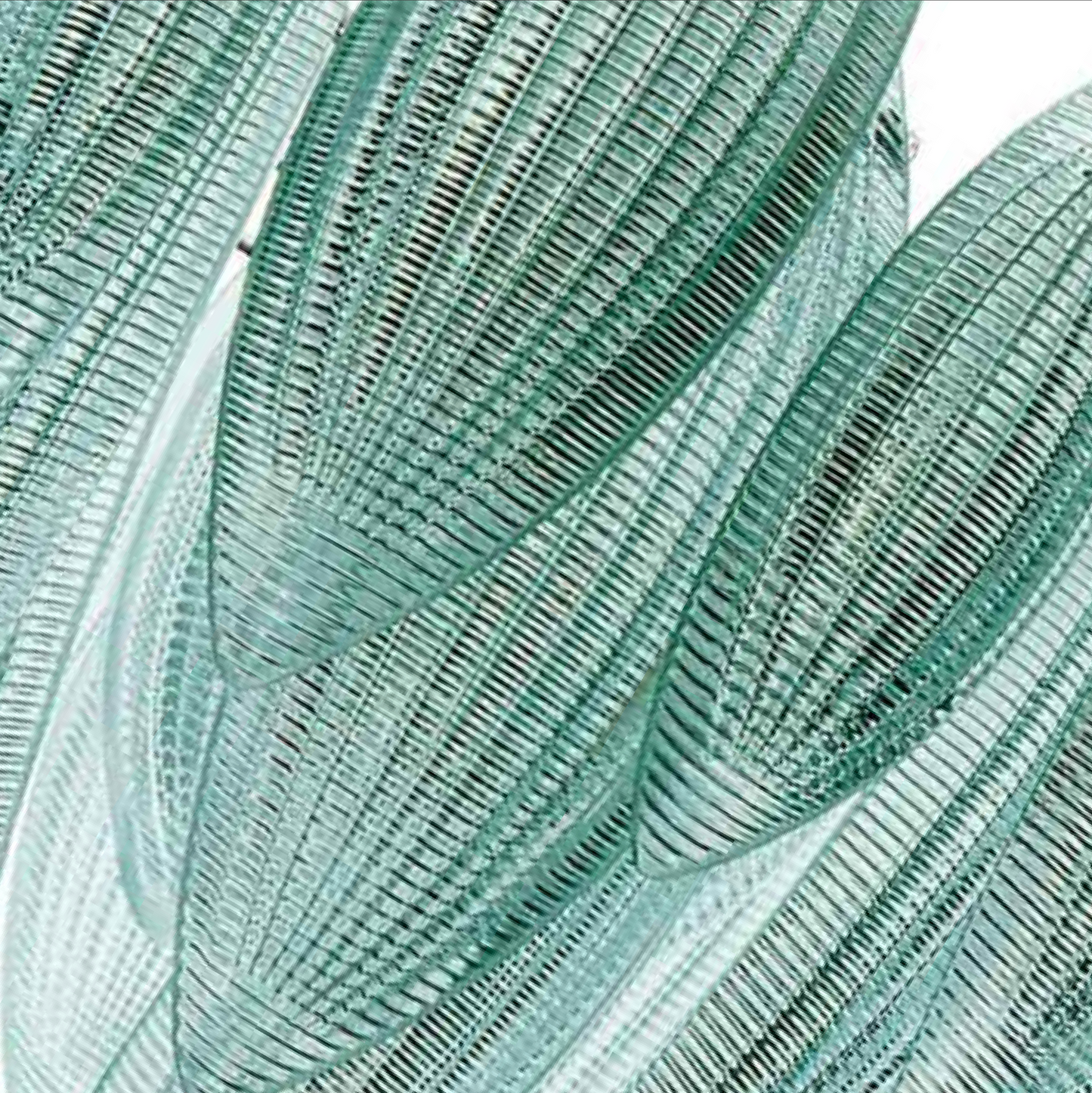 unique-id-fee3dcec-aace-4b62-bf8c-838d68333379