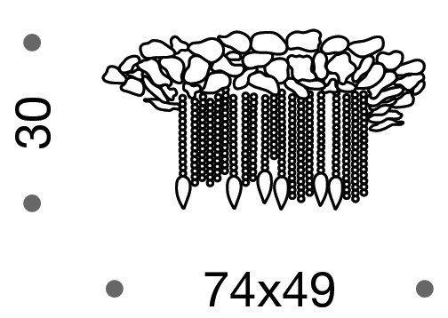 Lisson Large Flush Ceiling Light - ID 8134