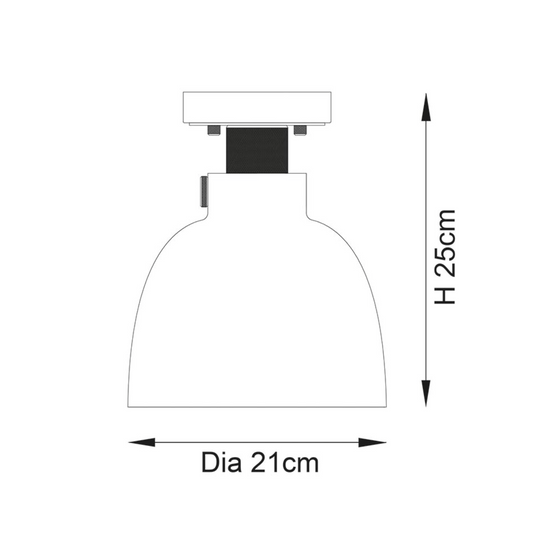 Black Chrome With Tinted Glass Flush Light - ID 12523