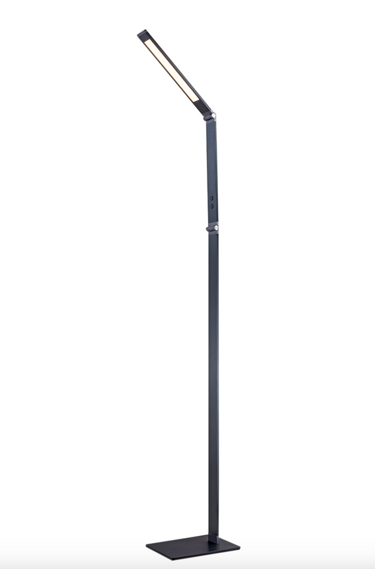 Adjustable Floor Lamp, Graphite - ID 12681