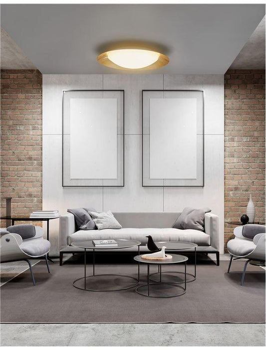 ZAN Diffused Gold Leaf Decorative Ceiling Light - ID 10596