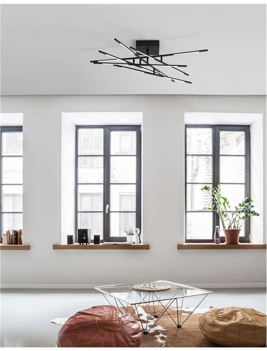 RAC Black Metal & Acrylic Tubular 12 Lamp Adjustable Ceiling Light - ID 10132