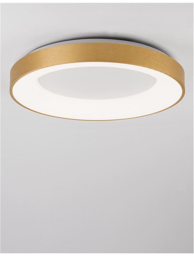 RAN Brushed Gold Aluminium & Acrylic Dimmable Warm Light Ring Flush Large - ID 10620