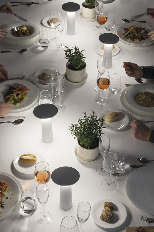 Halley Pivoting Rechargeable Table Lamp In white - ID 9148